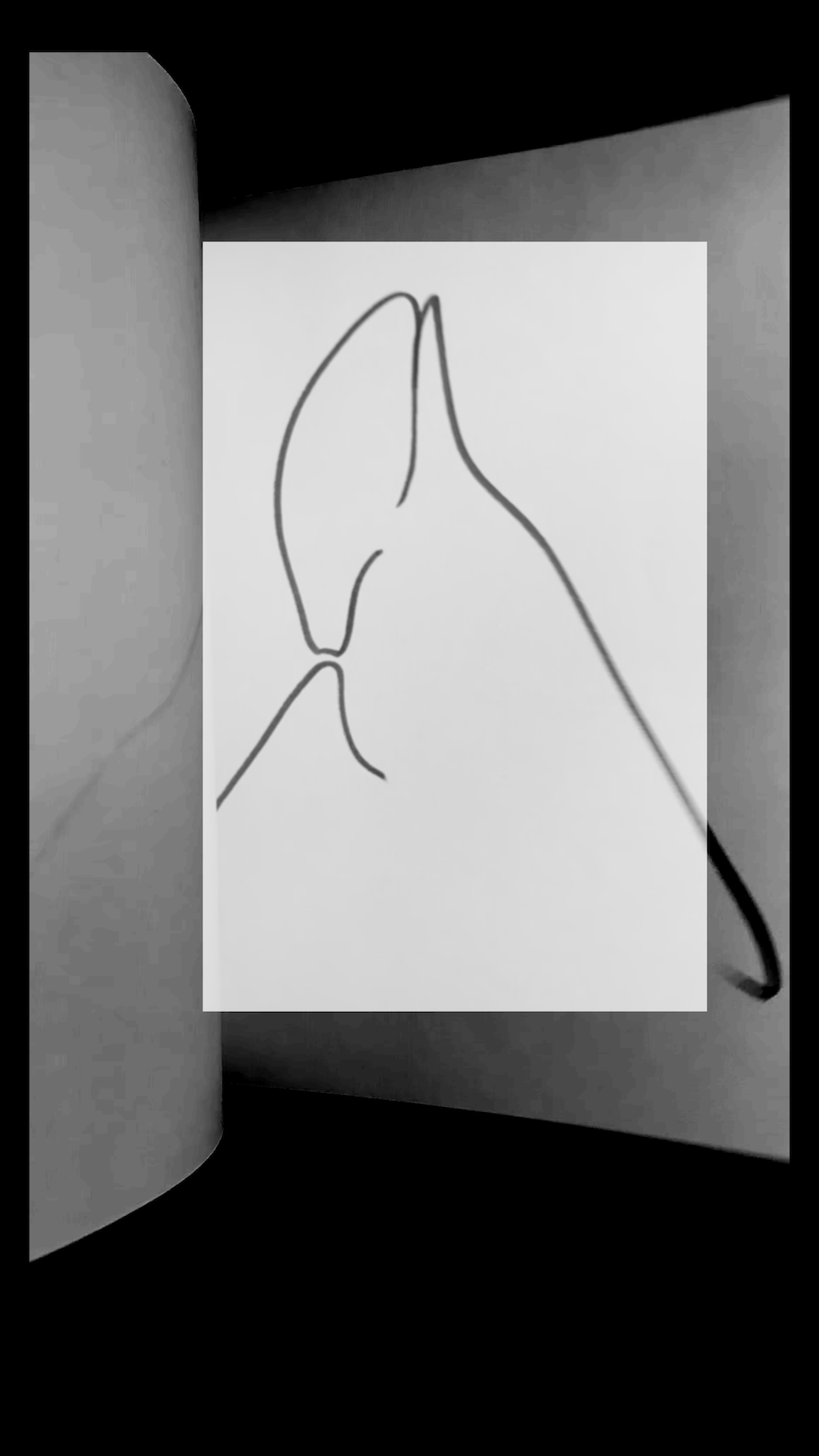 Studio work in progress, video animation